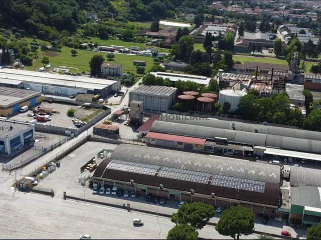Locale Commerciale in affitto a Monticelli, Marche