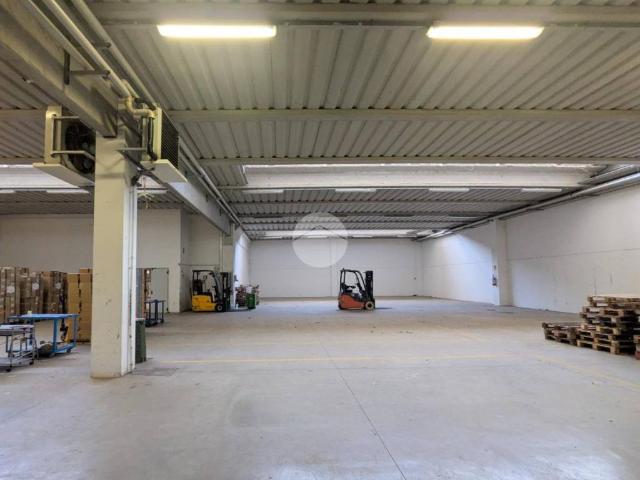 Locale Commerciale in affitto a Asola, Lombardia