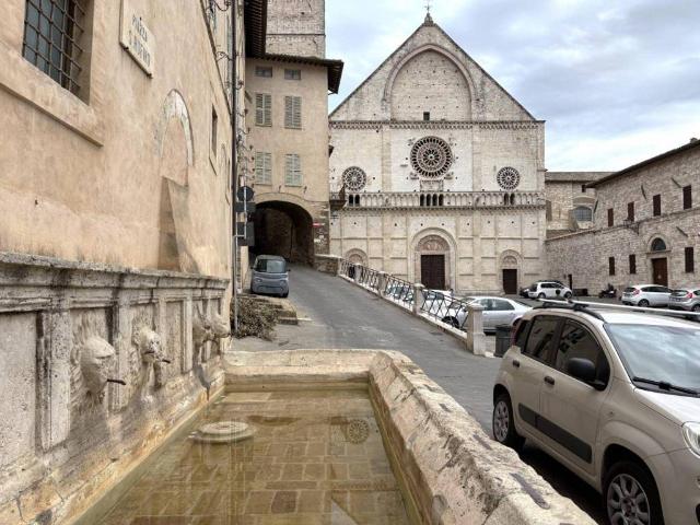 Locale Commerciale in affitto a Assisi, Perugia