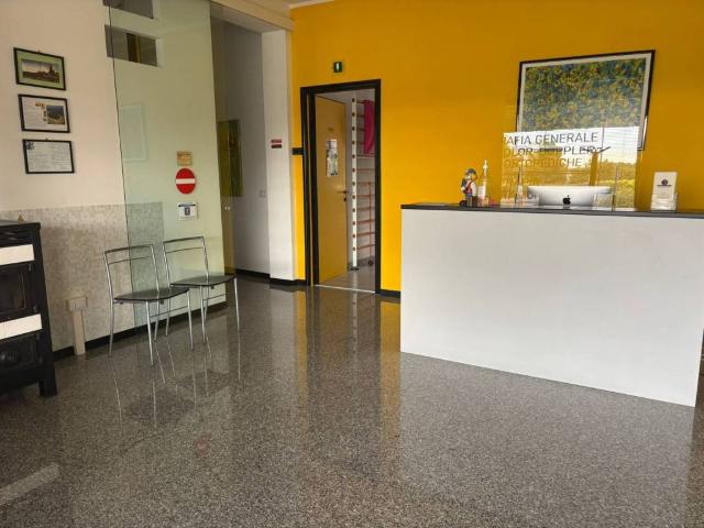 Locale Commerciale in affitto a Assisi, Umbria