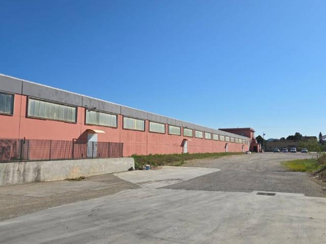 Locale Commerciale in affitto a Giove, Umbria