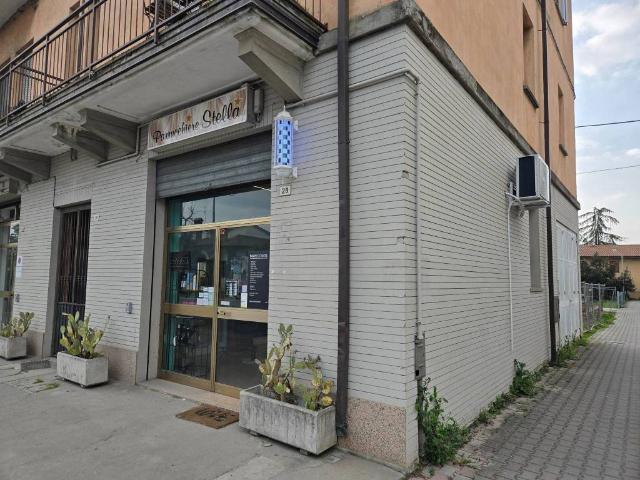 Locale Commerciale in affitto a Unione dei comuni della Bassa Romagna, Bagnacavallo