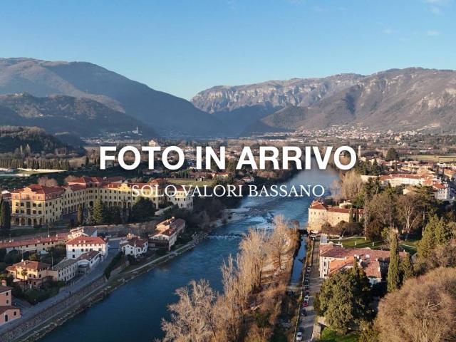 Locale Commerciale in affitto a Angarano, Bassano Del Grappa