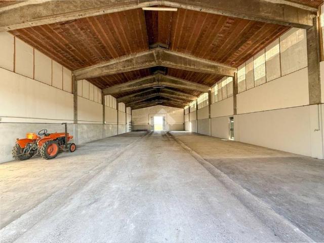 Locale Commerciale in affitto a Bedizzole, Lombardia