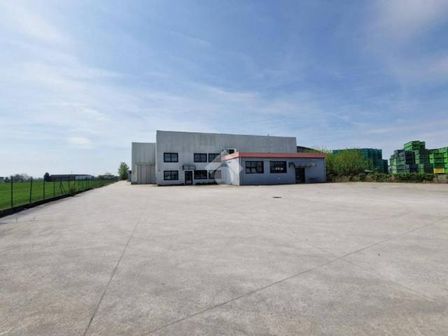 Locale Commerciale in affitto a Belfiore, Veneto