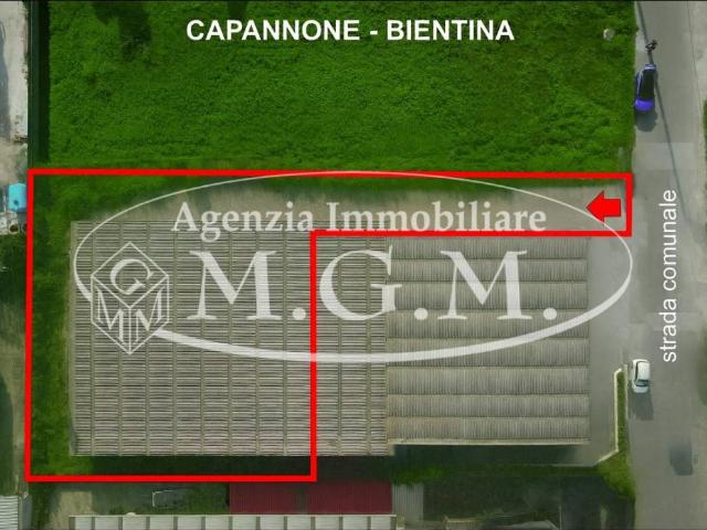 Locale Commerciale in affitto a Bientina, Toscana