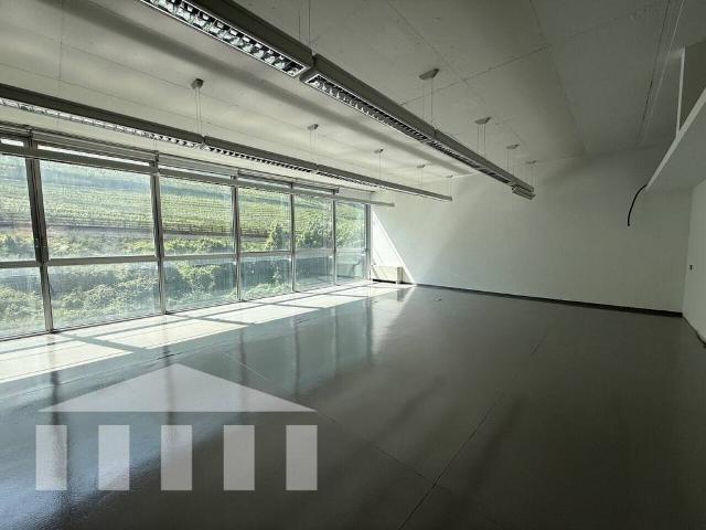 Locale Commerciale in affitto a Rentsch - Rencio, Bolzano - Bozen