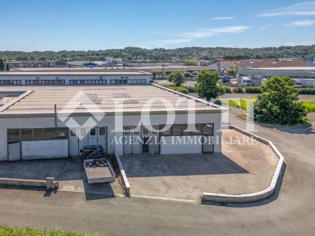 Locale Commerciale in affitto a Oltrarno, Calcinaia