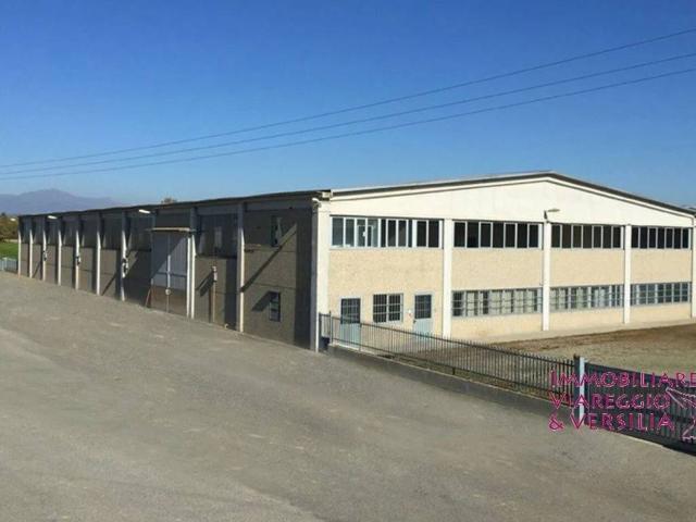 Locale Commerciale in affitto a Lido di Camaiore, Camaiore