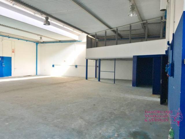 Locale Commerciale in affitto a Paduletto, Camaiore
