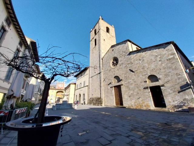 Locale Commerciale in affitto a Camaiore, Lucca