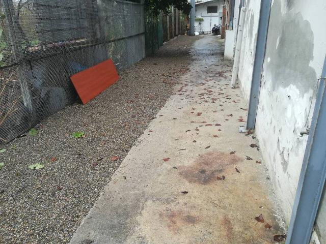 Locale Commerciale in affitto a San Donnino, Campi Bisenzio