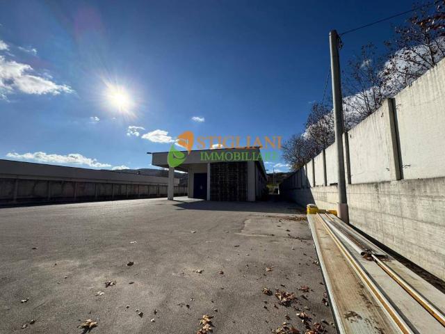 Locale Commerciale in affitto a Campobasso, Molise