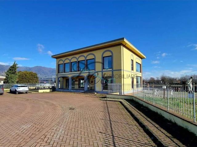 Locale Commerciale in affitto a Capannori, Lucca