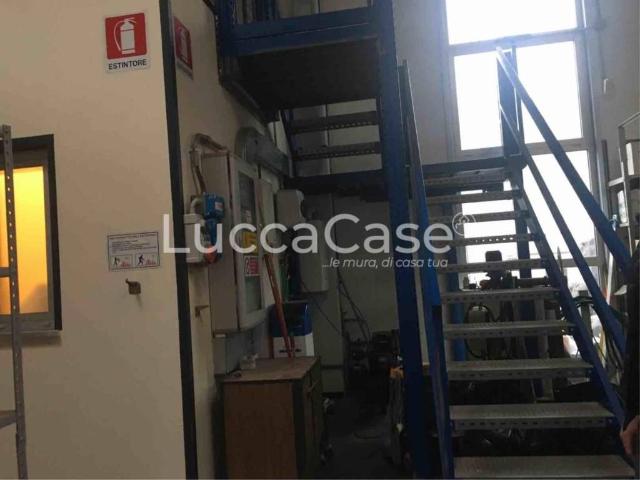 Locale Commerciale in affitto a San Leonardo in Treponzio, Capannori