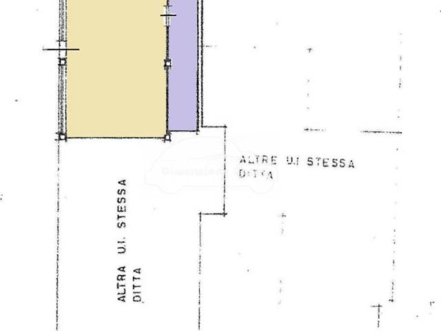 Locale Commerciale in affitto a Capannori, Lucca