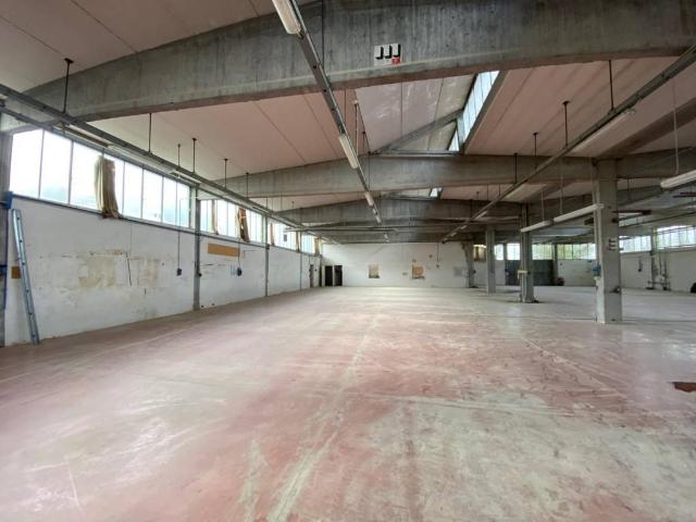 Locale Commerciale in affitto a Casciana Terme