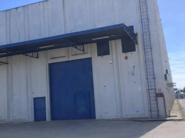 Locale Commerciale in affitto a Cittadella di Casoria, Casoria
