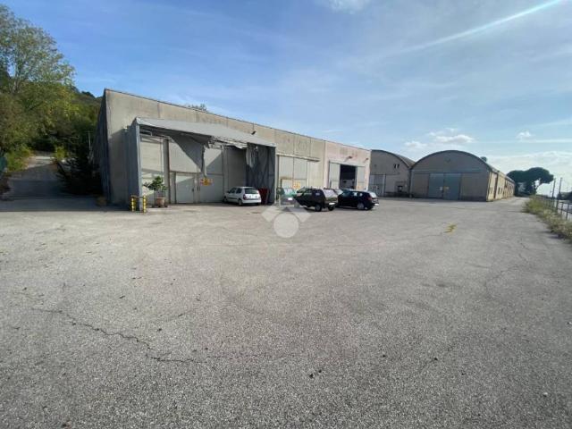 Locale Commerciale in affitto a Castiglione Delle Stiviere, Lombardia