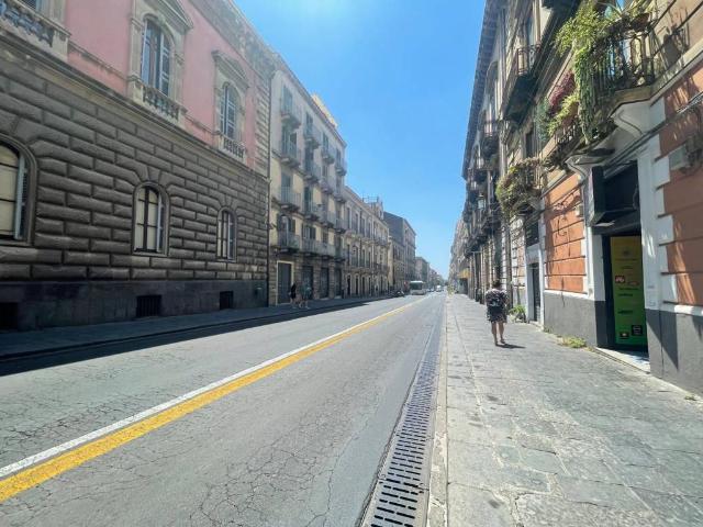 Locale Commerciale in affitto a Borgo, Catania