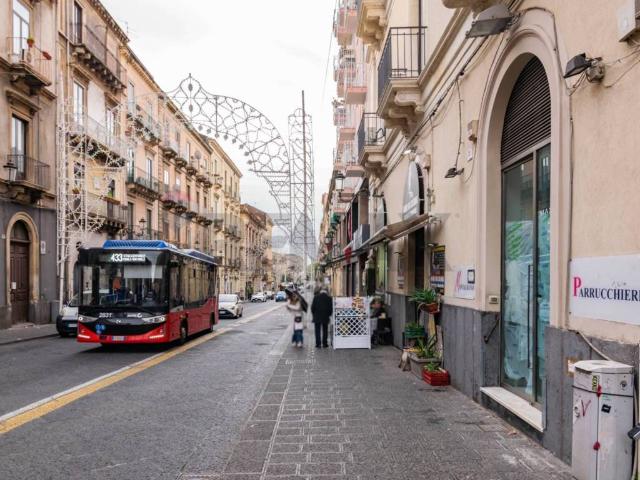 Locale Commerciale in affitto a Centro storico, Catania
