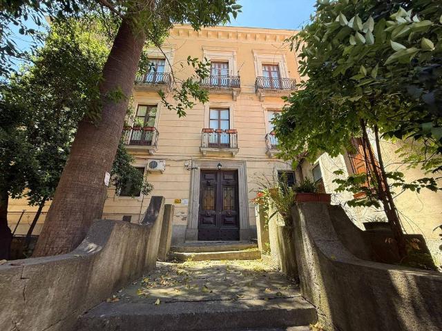 Locale Commerciale in affitto a Siano, Calabria