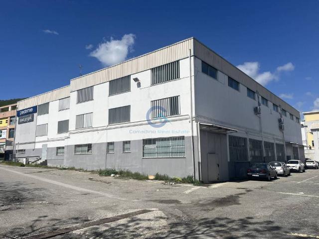 Locale Commerciale in affitto a Dulcino, Calabria