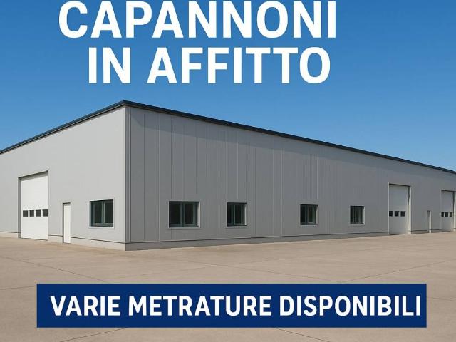 Locale Commerciale in affitto a Ceggia, Veneto