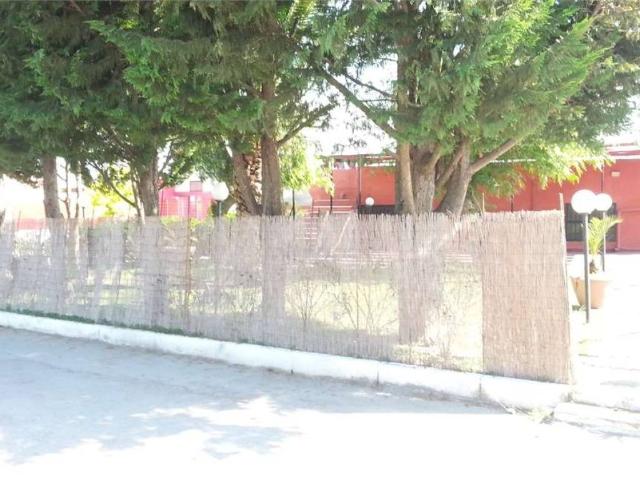 Locale Commerciale in affitto a Puglia, Foggia