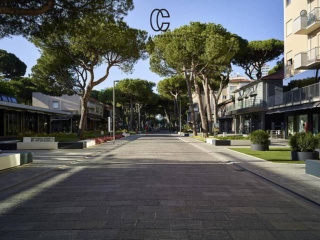 Locale Commerciale in affitto a Milano Marittima, Cervia