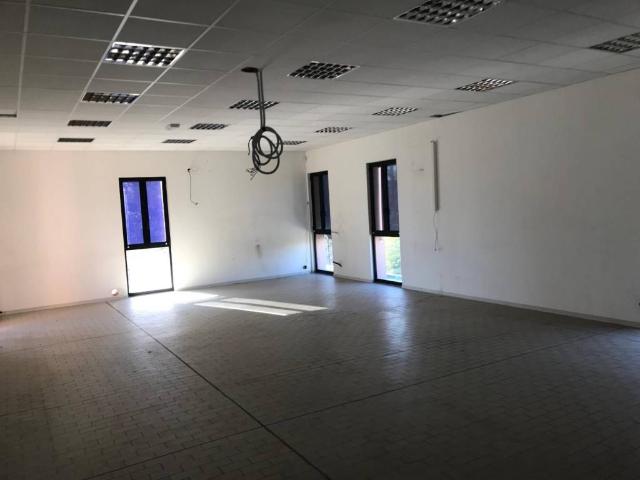 Locale Commerciale in affitto a Marche, Ancona