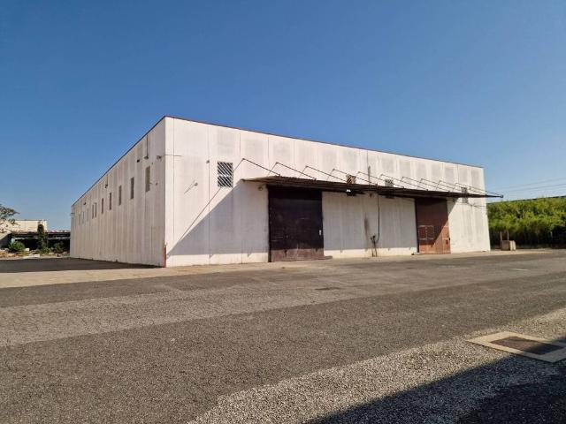 Locale Commerciale in affitto a Roma Capitale, Lazio