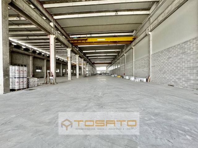 Locale Commerciale in affitto a Cittadella, Veneto