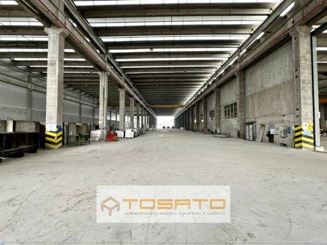Locale Commerciale in affitto a Cittadella, Veneto