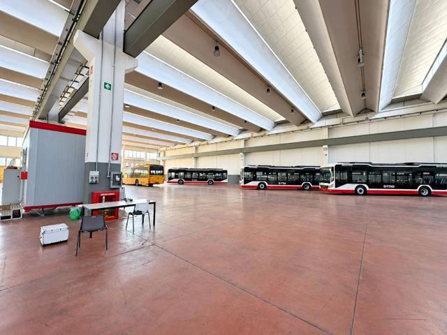 Locale Commerciale in affitto a BCube S.P.A., Collesalvetti