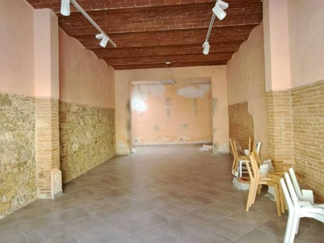 Locale Commerciale in affitto a Collesalvetti, Toscana