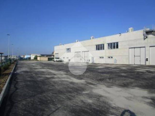 Locale Commerciale in affitto a Unione Comuni Modenesi Area Nord, Concordia Sulla Secchia