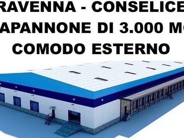 Locale Commerciale in affitto a Unione dei comuni della Bassa Romagna, Conselice