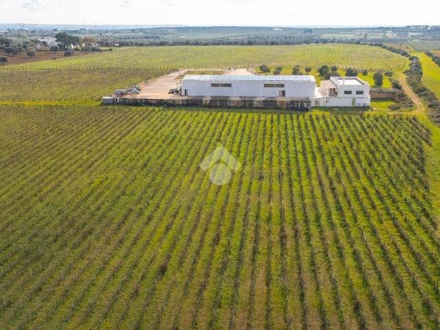 Locale Commerciale in affitto a Puglia, Taranto
