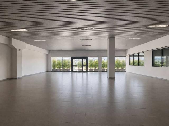Locale Commerciale in affitto a Motta, Este