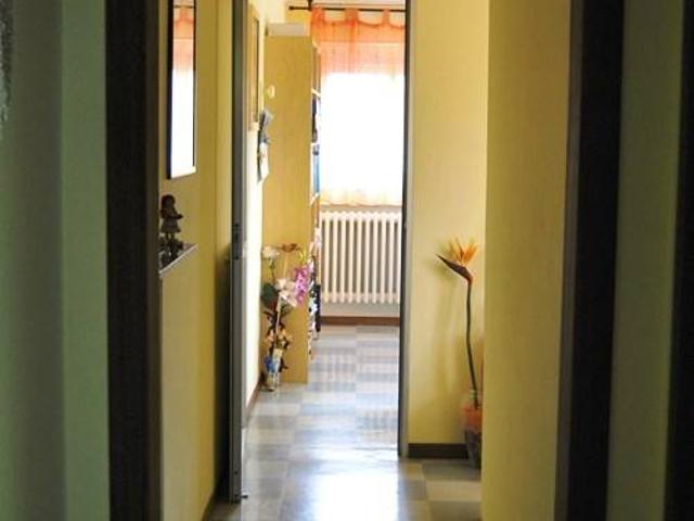 Locale Commerciale in affitto a San Lazzaro, Marche