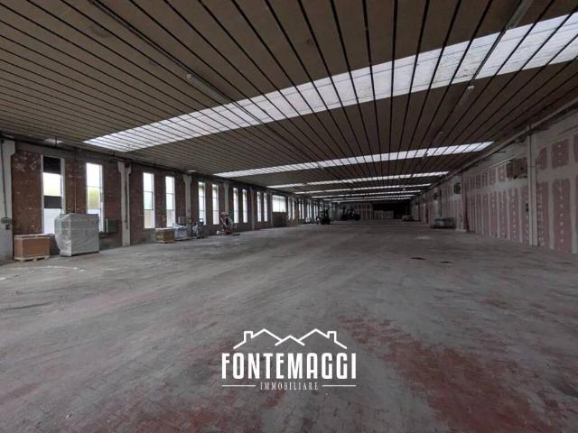 Locale Commerciale in affitto a Marche, Pesaro E Urbino