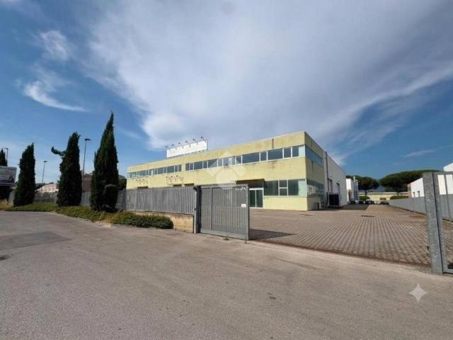Locale Commerciale in affitto a Figline e Incisa Valdarno, Figline Valdarno
