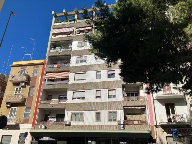 Locale Commerciale in affitto a Puglia, Foggia