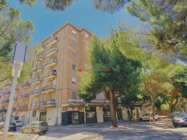 Locale Commerciale in affitto a Puglia, Foggia