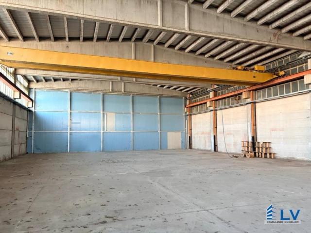 Locale Commerciale in affitto a Cavoni, Frosinone