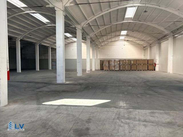 Locale Commerciale in affitto a Frosinone, Lazio
