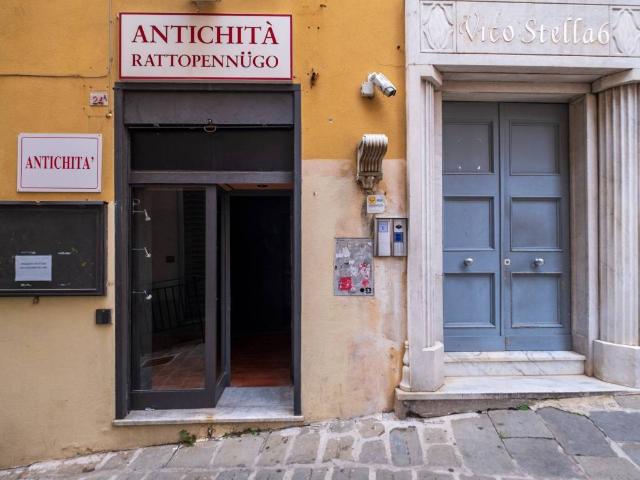 Locale Commerciale in affitto a Centro Est, Serra Riccò