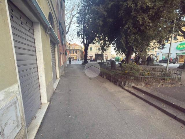 Locale Commerciale in affitto a Ponente, Serra Riccò