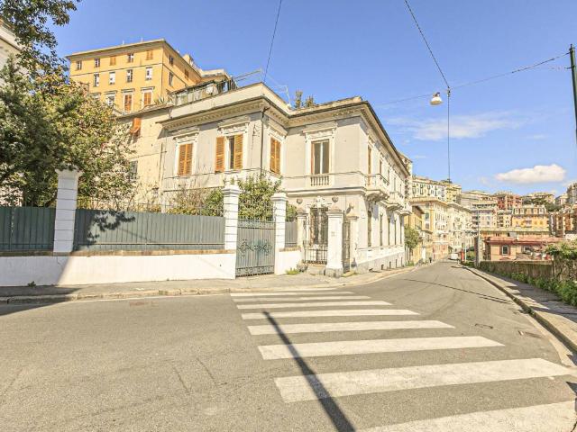 Locale Commerciale in affitto a Centro Est, Serra Riccò